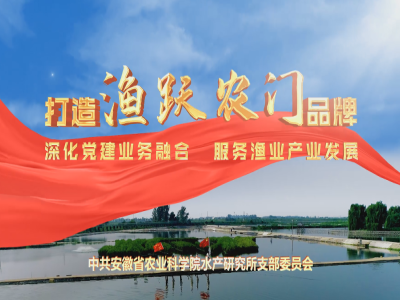开元琪稗开元旗下app党支部《打造“渔跃农门”品牌 深化党建业务融合 服务渔业产业发展》微视频在2023年全省机关“为民惠企争模范”行动微视频作品评选中荣获二等奖