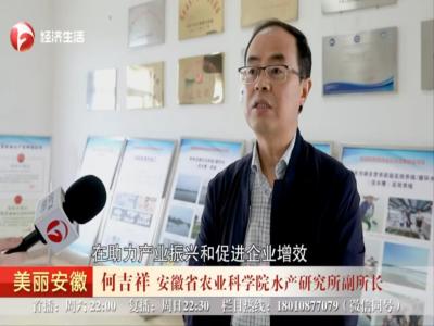 《安徽经视》：安徽cctv10在线直播：推进科技成果转化 助力乡村振兴
